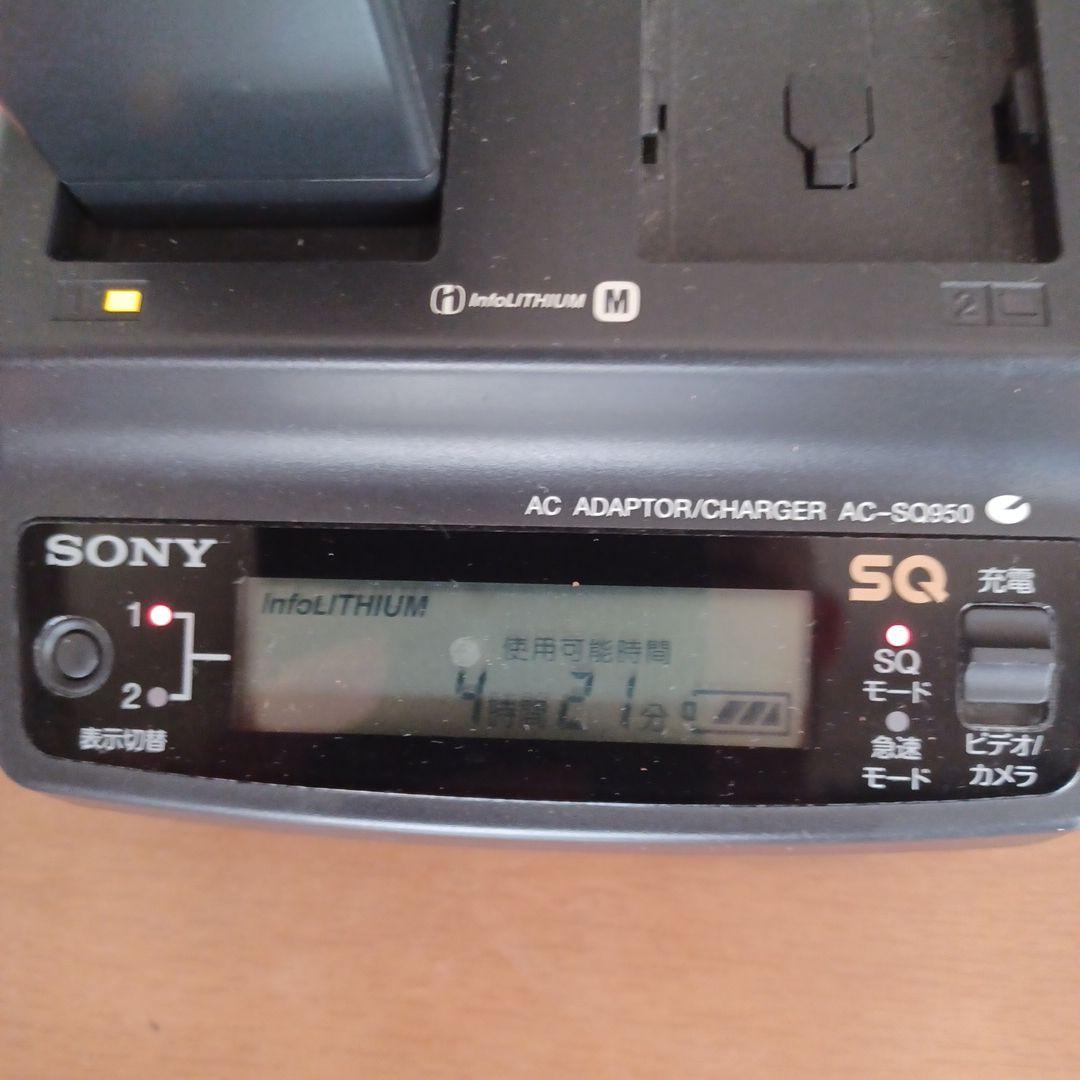 SONY DCR-TRV30 デジタルビデオカメラ+付属品