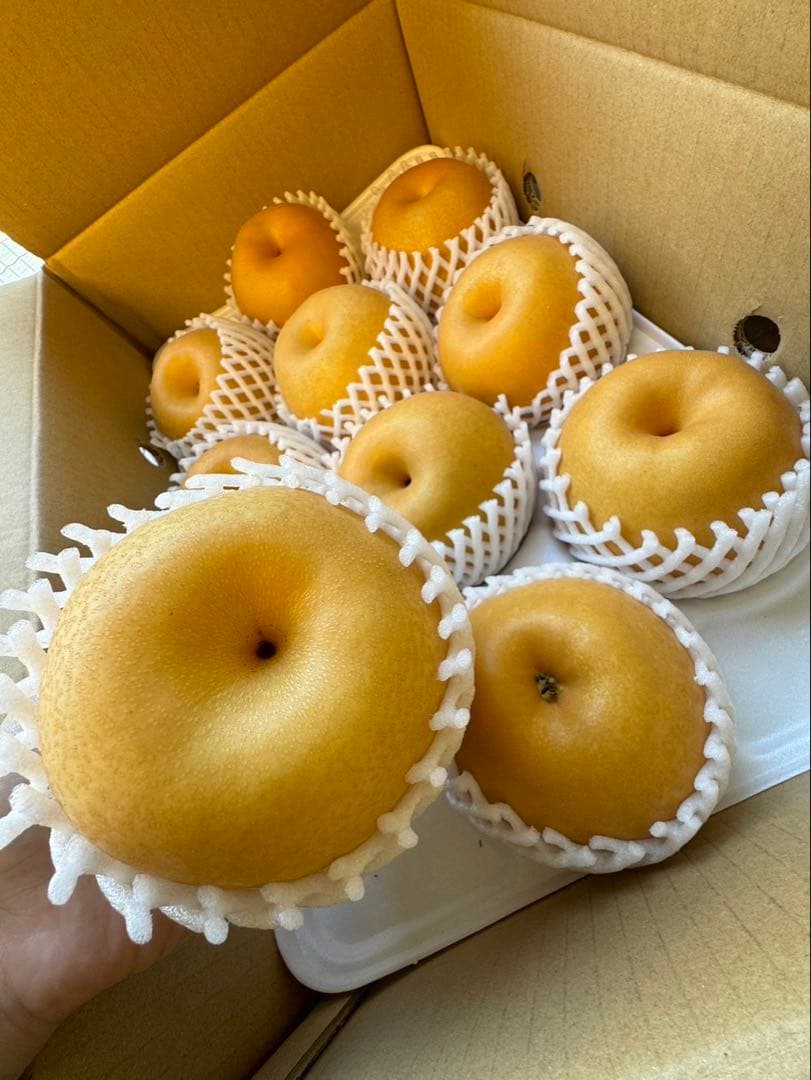 梨　新高梨　10玉を2箱　04
