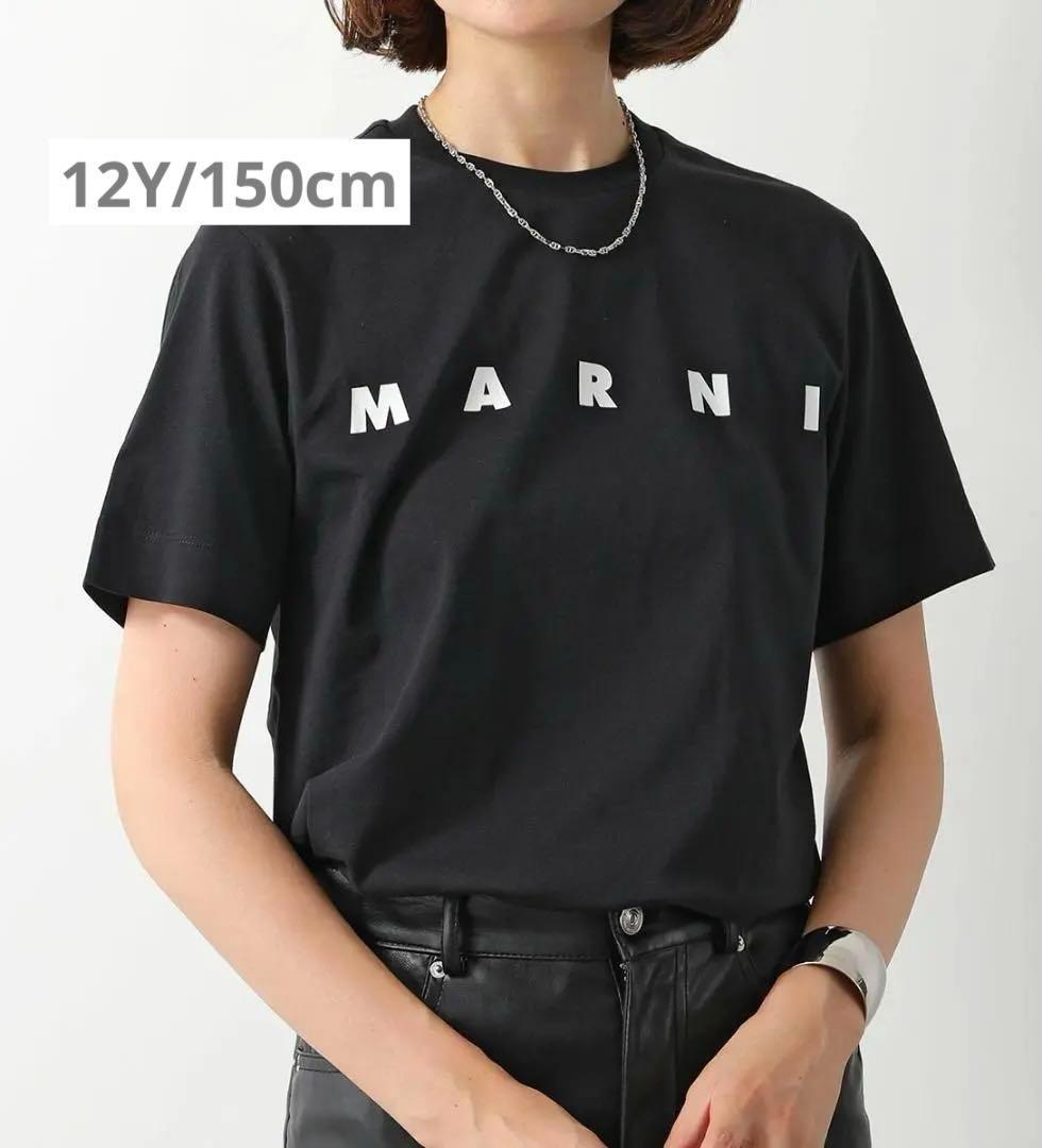 大人もOK！マルニ　キッズTシャツ　12Y 150cm 新品