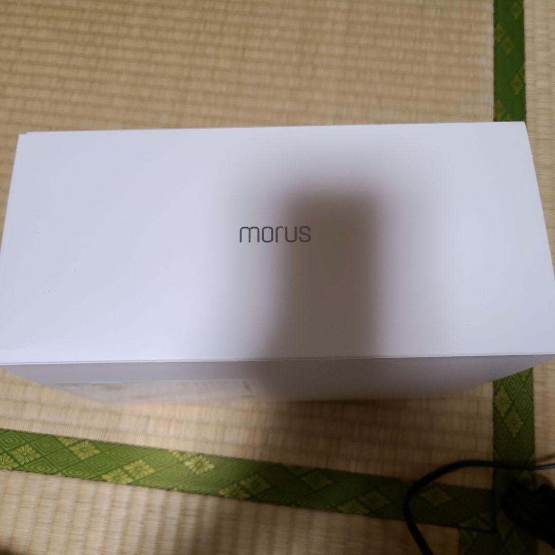Morus V6 真空吸着式衣類スチーマー スチームアイロン グレー