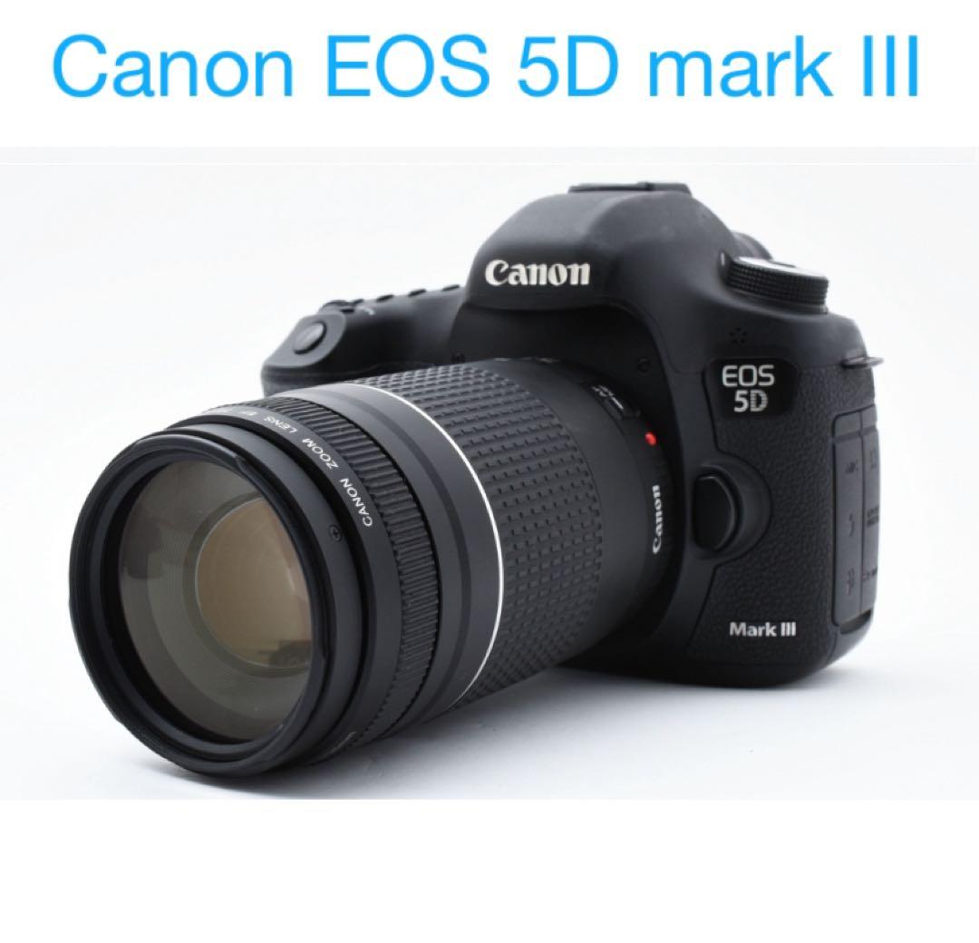 付属品付き/Canon EOS 5D mark III望遠レンズセット