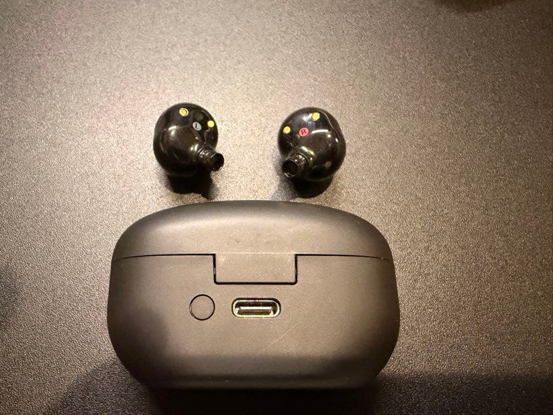 WF-1000XM5 イヤーピースなし