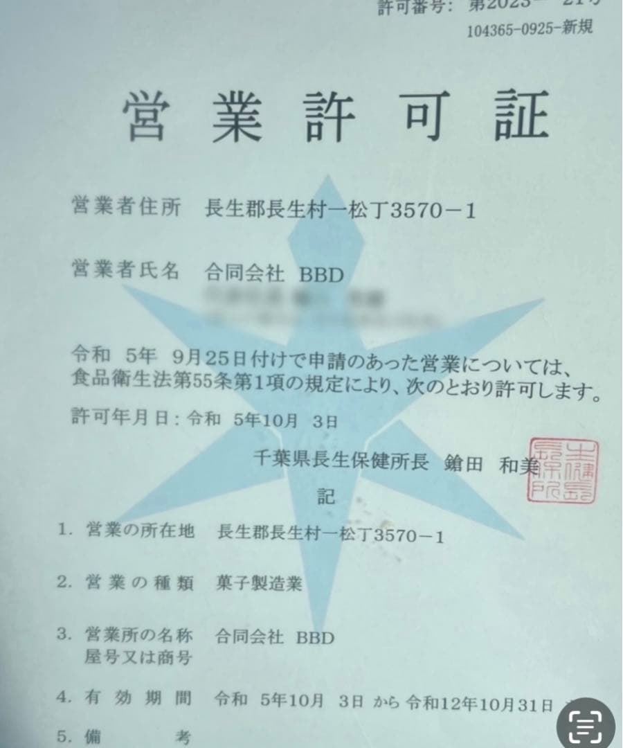 えめりこ様　メレンゲクッキー　焼き菓子　琥珀糖