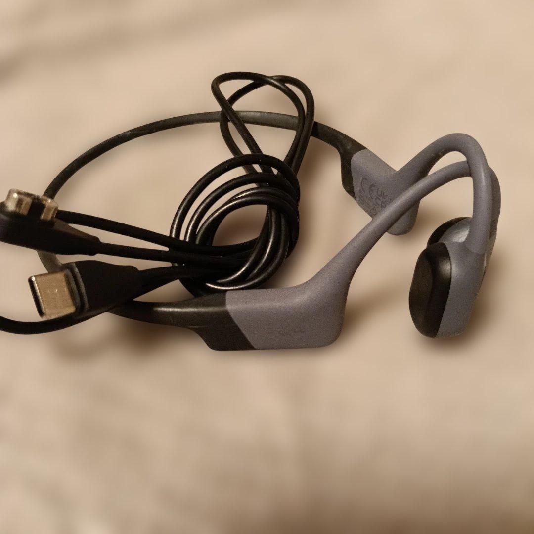 A*6様 SHOKZ openswim pro 710