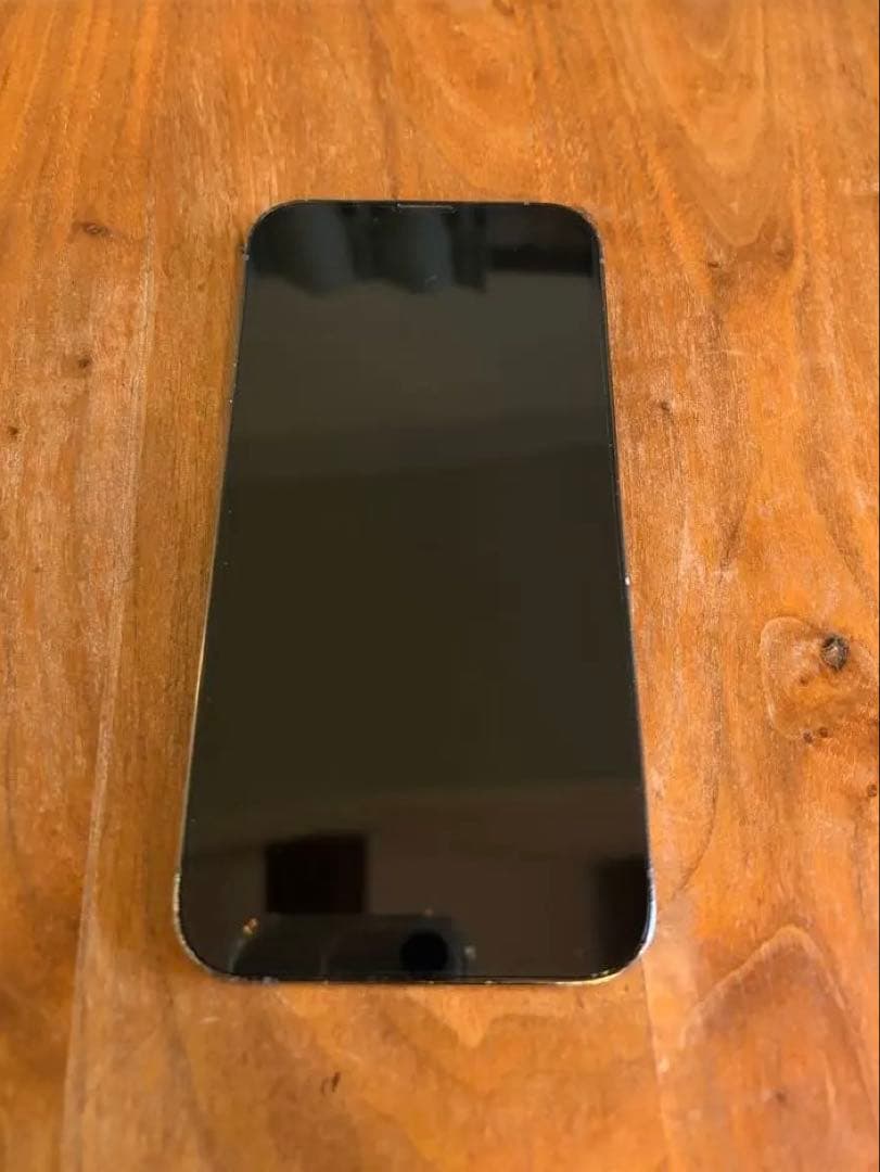 もしもし亀かもよ iPhone 13 Pro 128GB