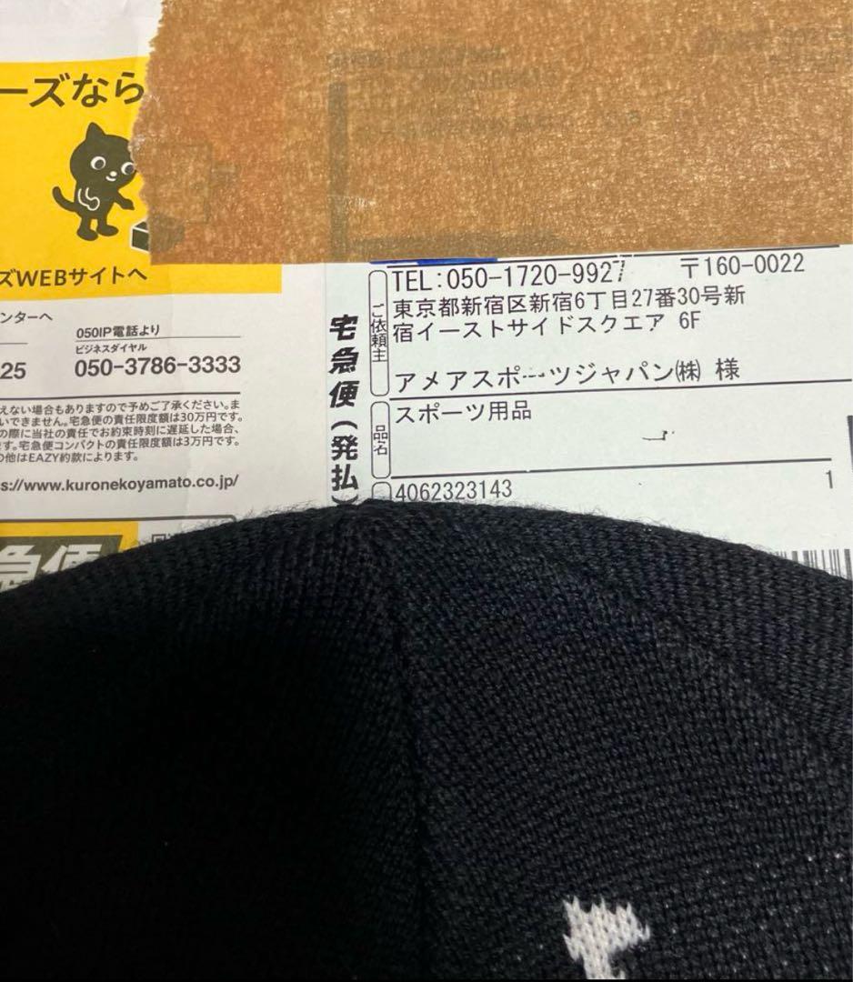 Arc’teryx Bird Head Toque ビーニー (セット)