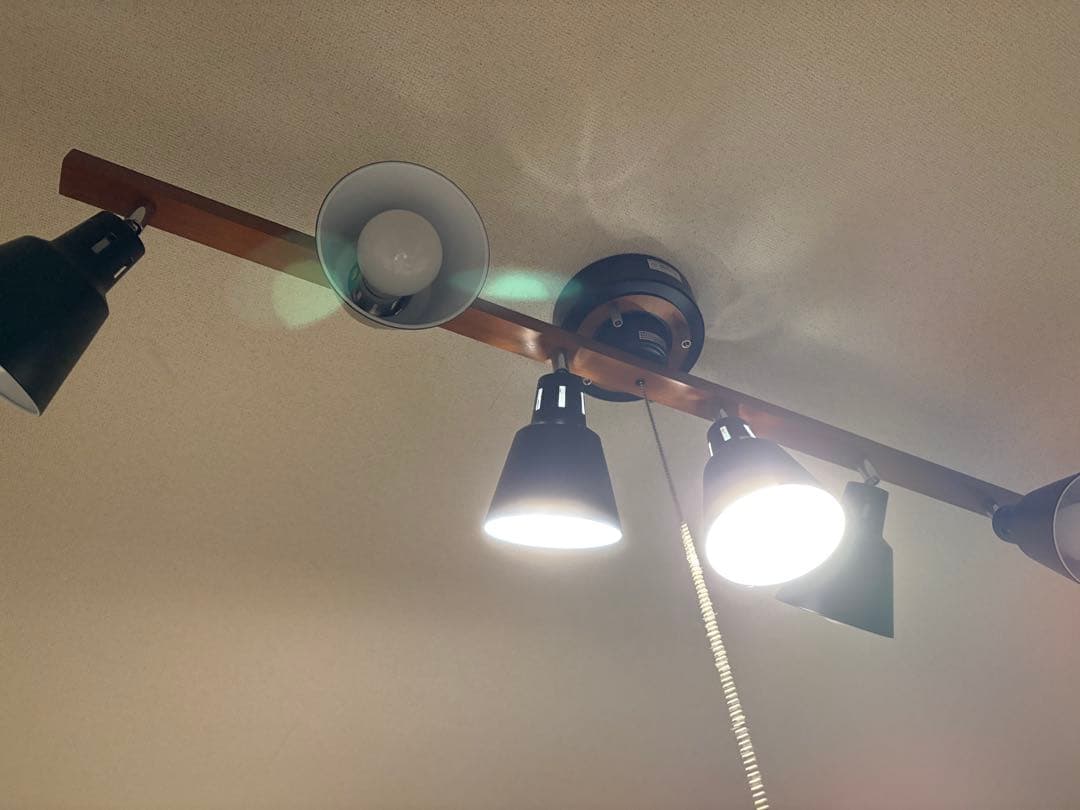 【値段交渉可】エア•リゾームインテリア　シーリングライト　manis