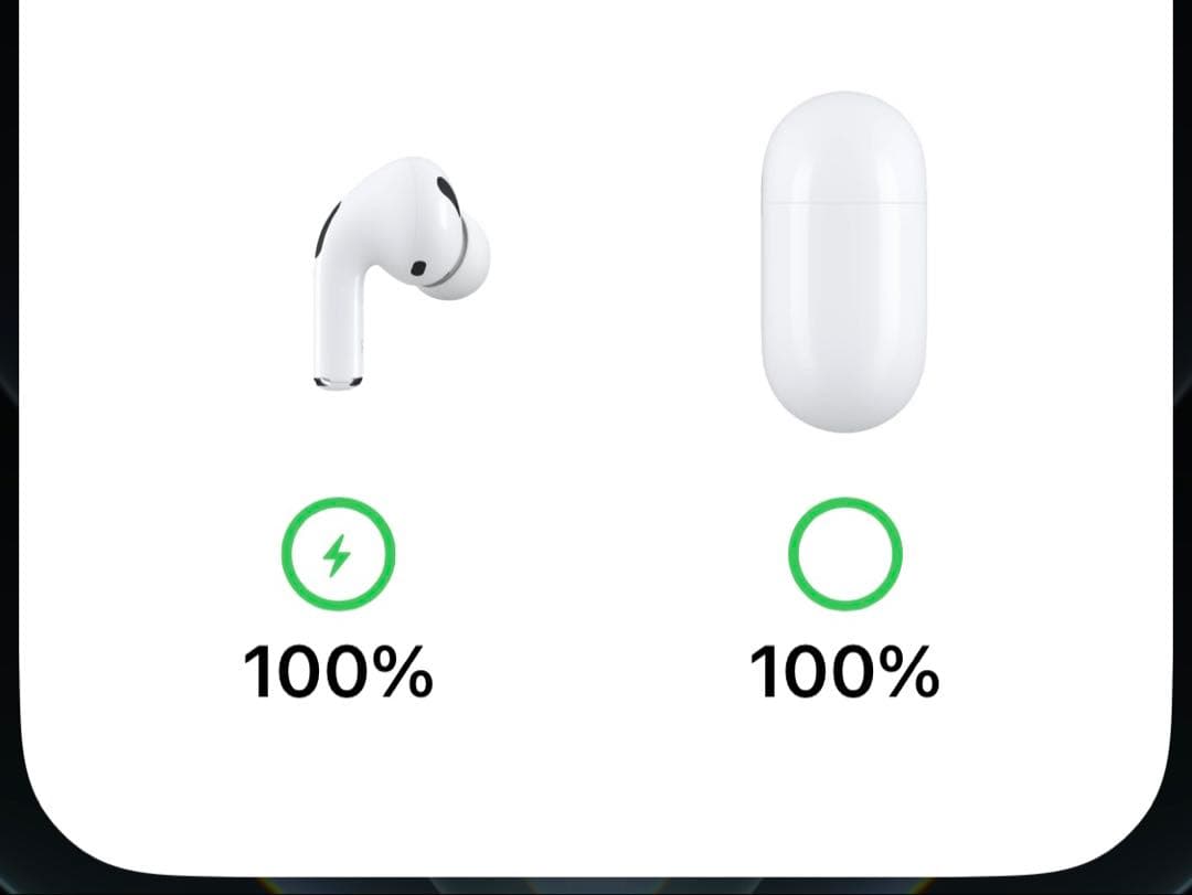 本体【美品】AirPods Pro 1 A2084 PITAKAケース付き