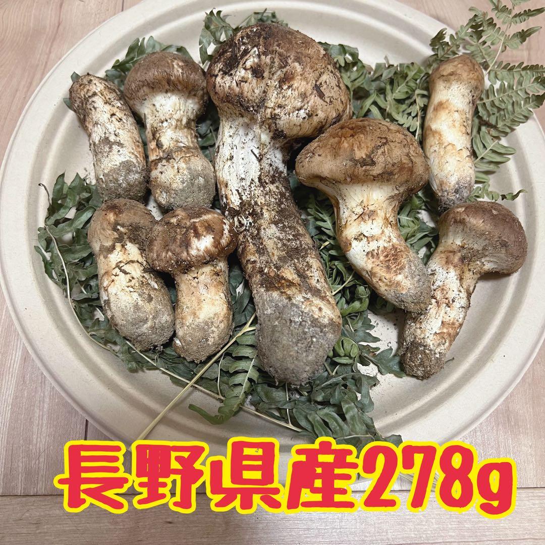 長野県産 松茸278g‼︎早い者勝ち！（訳あり含む）