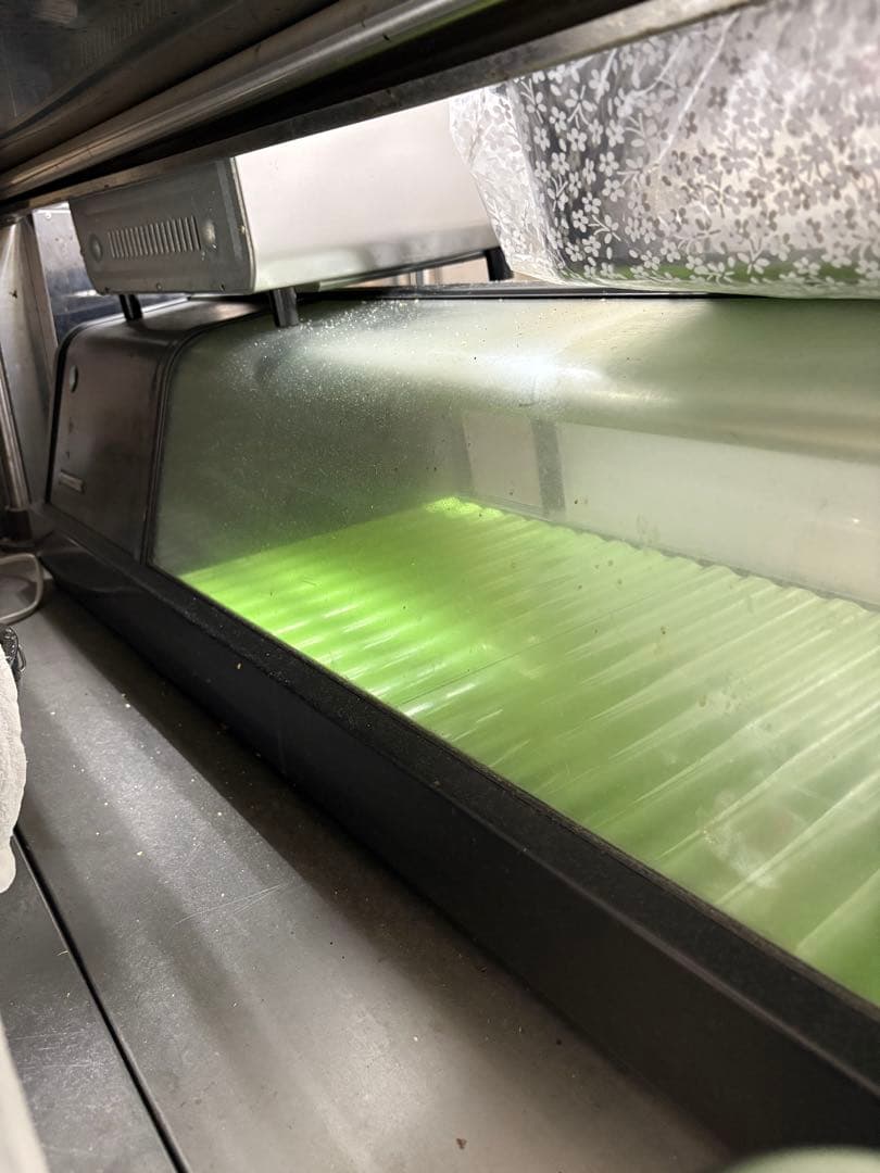 今だけ出品　ホシザキ　ネタケース　120サイズ