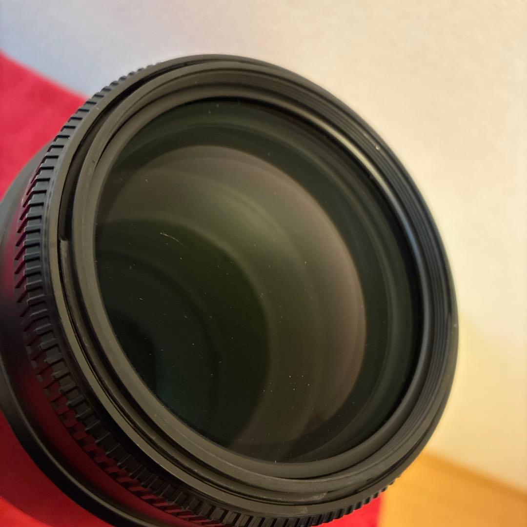 SIGMA 150-500mm F5-6.3 APO DG OS ニコン