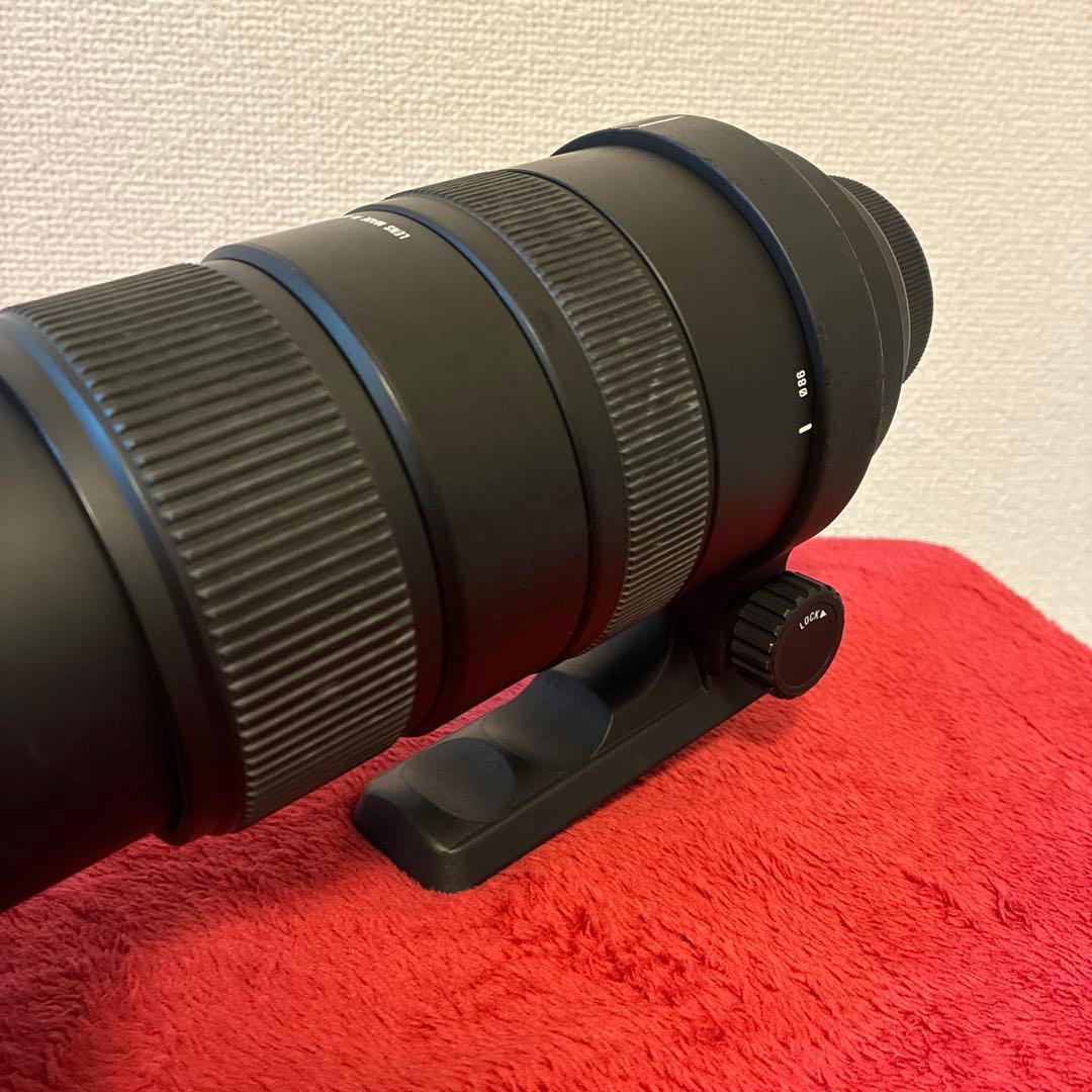 SIGMA 150-500mm F5-6.3 APO DG OS ニコン