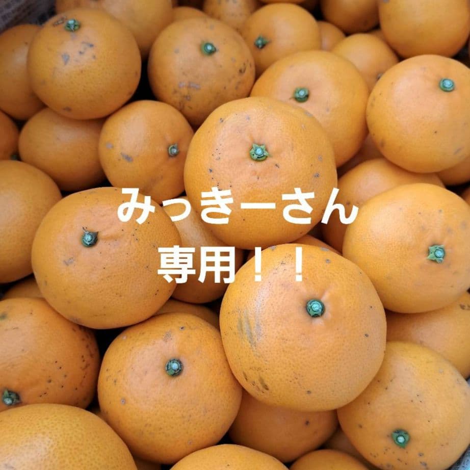 みっきーさん専用！！