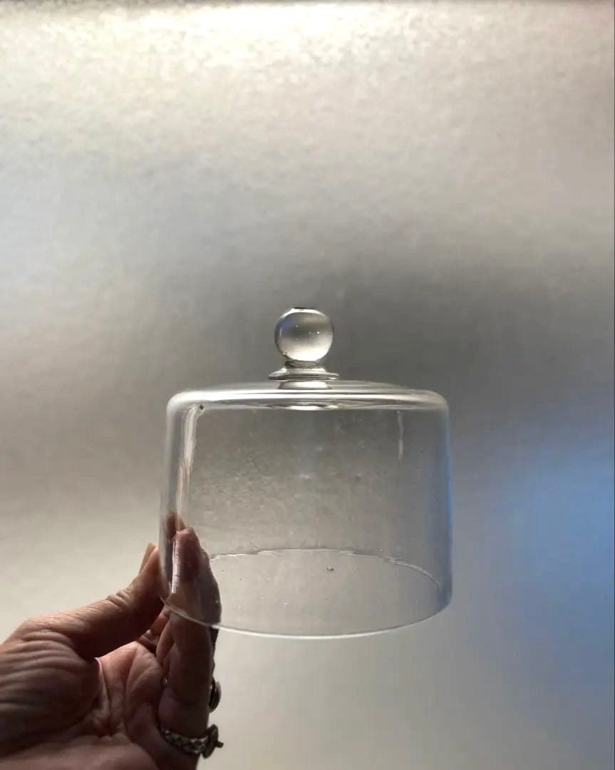 678 フランスアンティーク 古いチーズドーム ガラスドーム 蚤の市購入 パリ