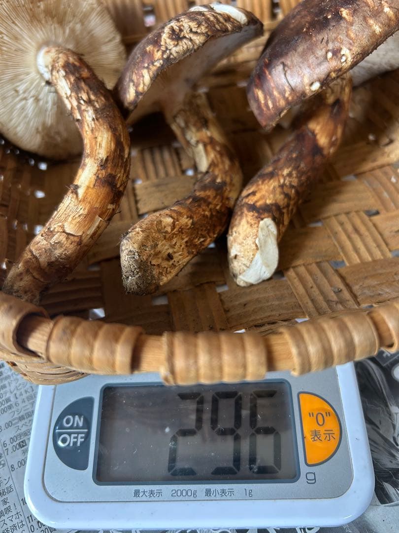 【シーズンラスト】岩手県産松茸　開き296g