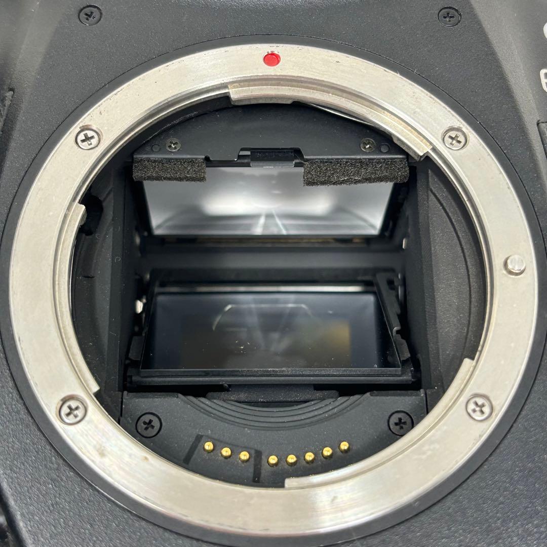 【限定値引き中】Canon EOS-1D デジタル一眼レフカメラ バッテリー付