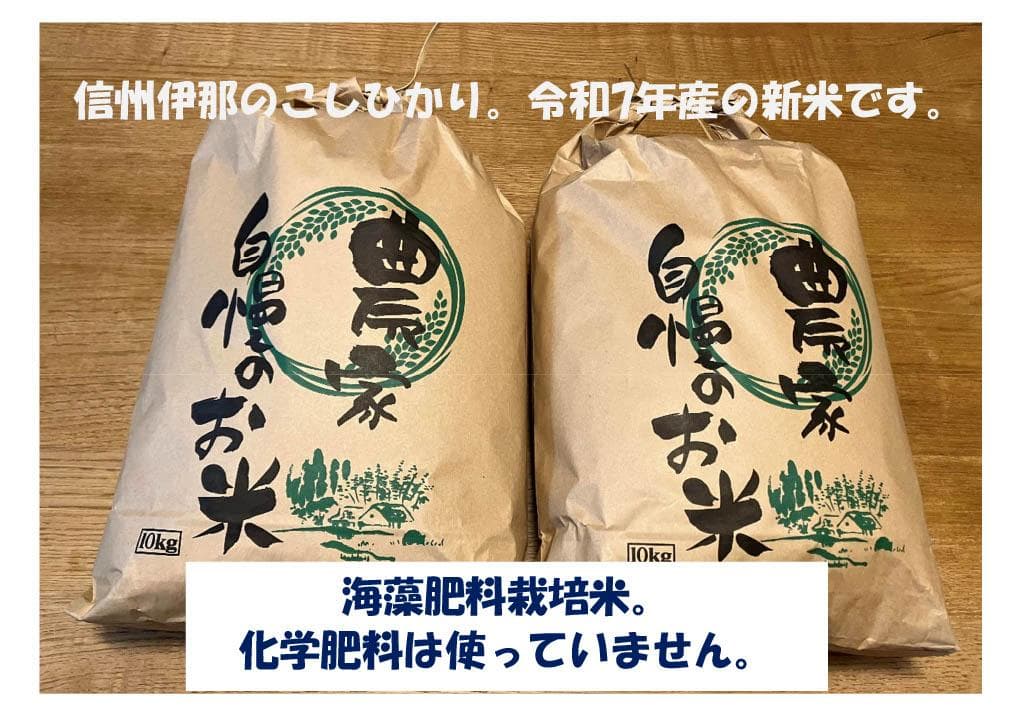 信州伊那のこしひかり 10kg 新米