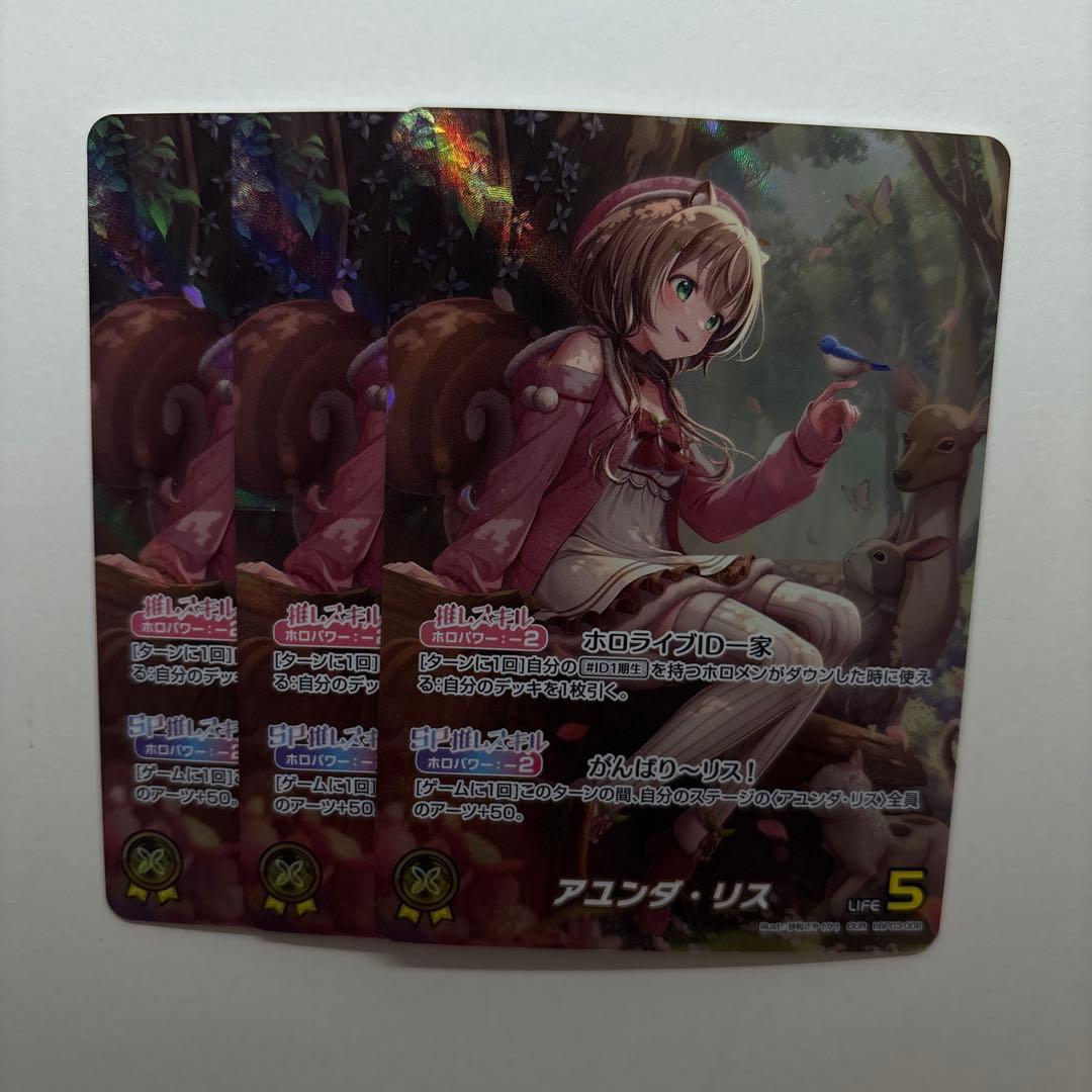 ホロカ アユンダ・リス OUR