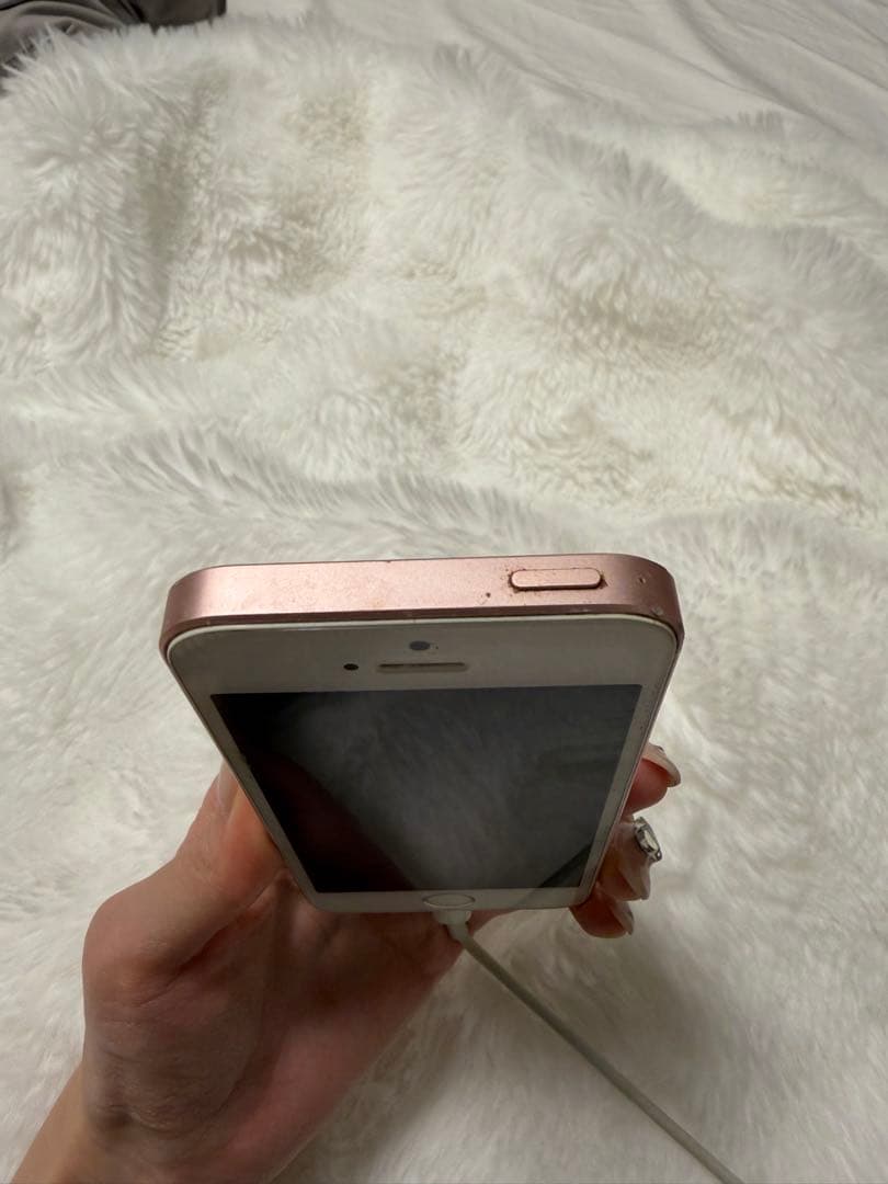 iphone se 本体