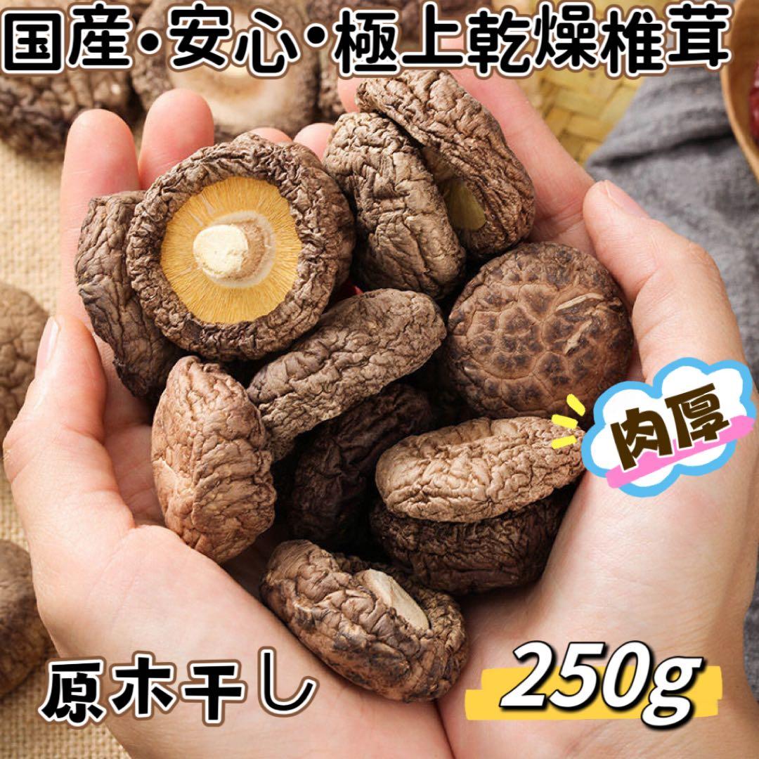 きみちゃん 原木干し椎茸　　(250g)