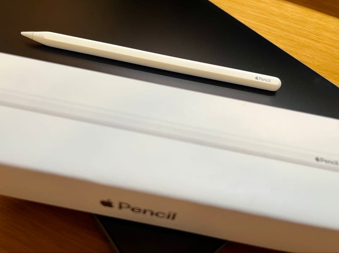 【美品】iPad Pro 11インチ 第3世代（M1） 128GB セルラー