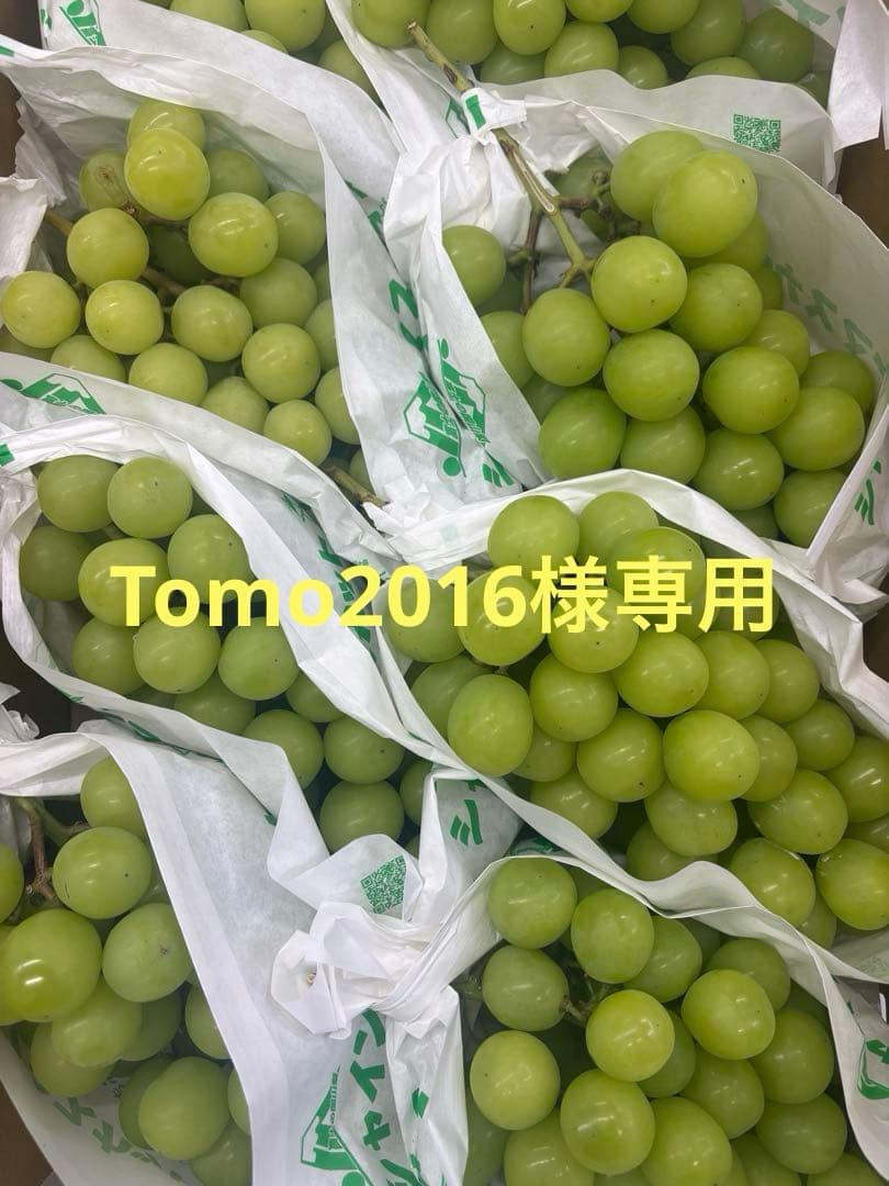 Tomo2016 クール便山梨県産シャインマスカット5k✖︎２ケース