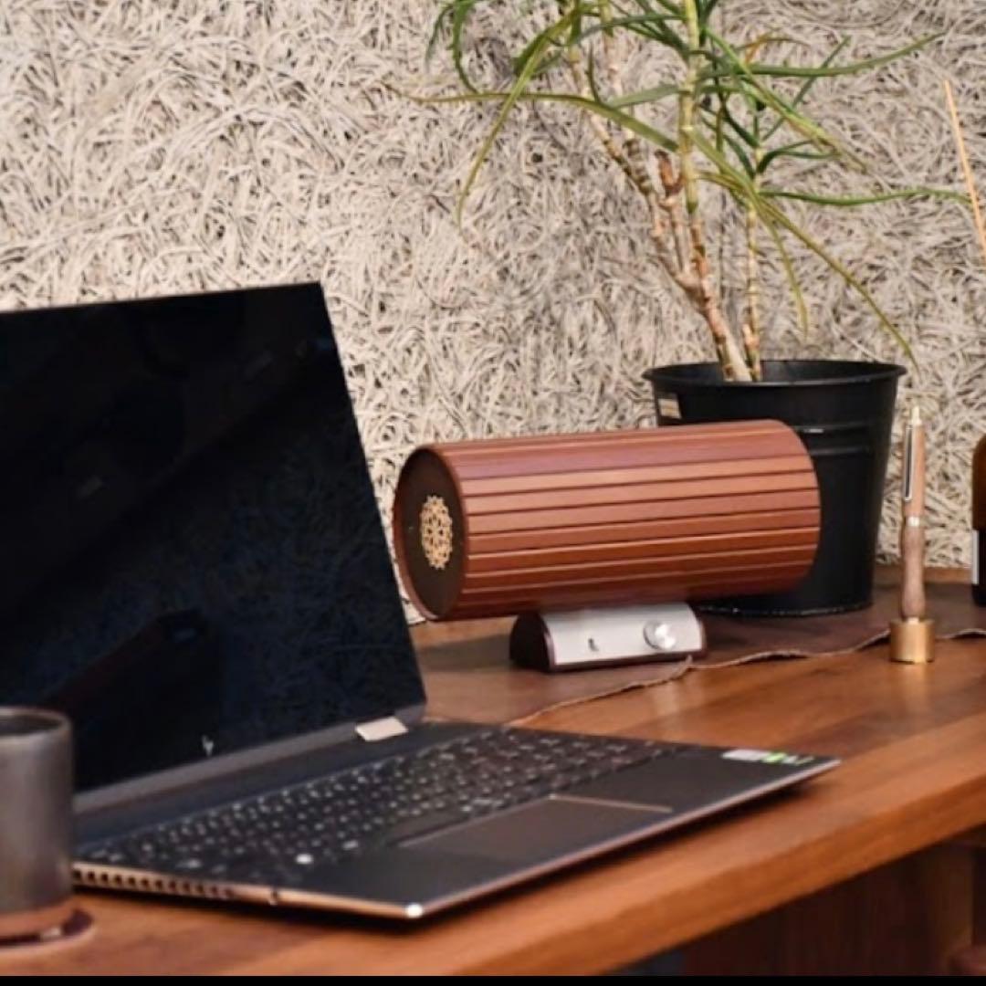 限定お値下げ❣️アンプ内蔵型スピーカー ／ エムズシステム 波動スピーカー ／新品