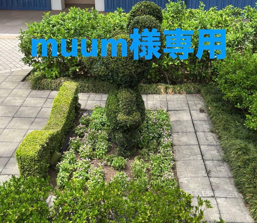 muum出品