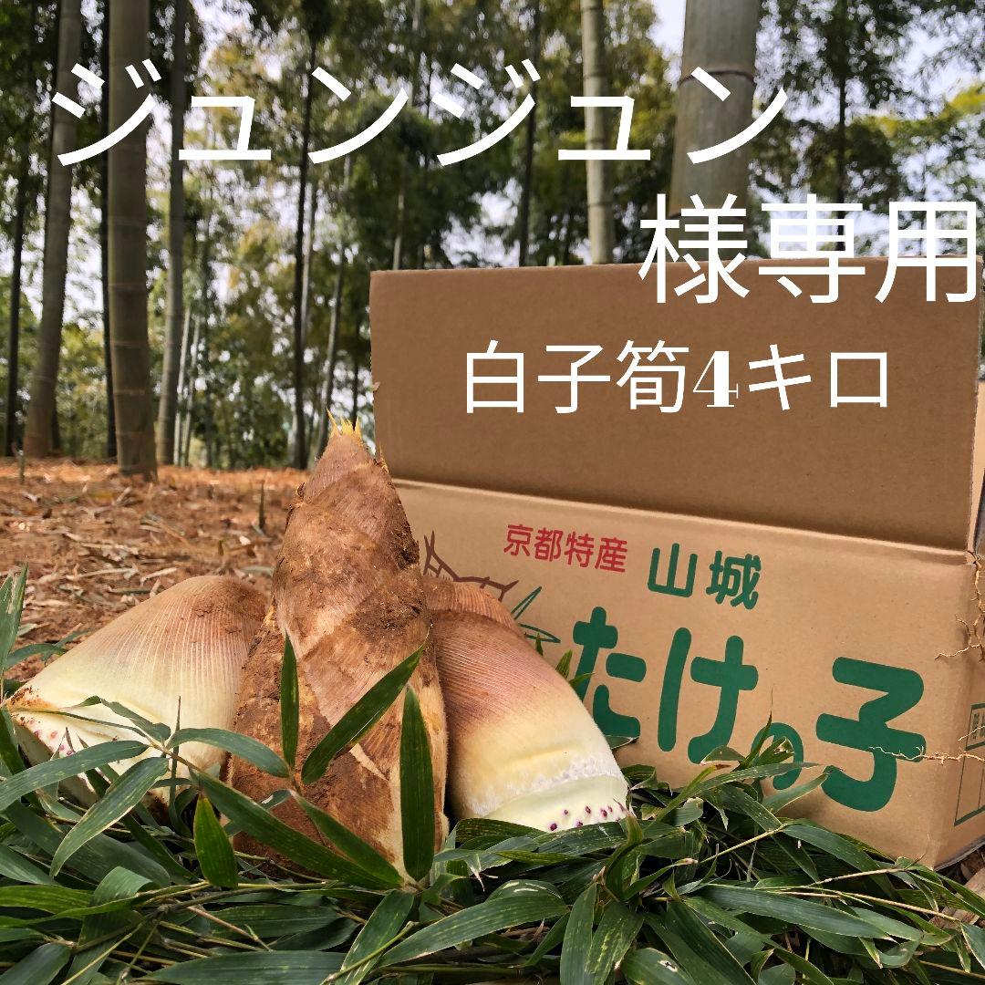 ジュンジュン 白子筍 4キロ