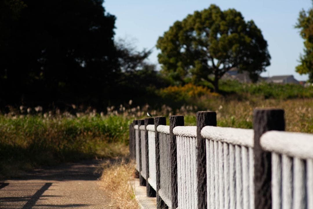 Carl Zeiss Planar T f1.4 85mm ZE キャノン用