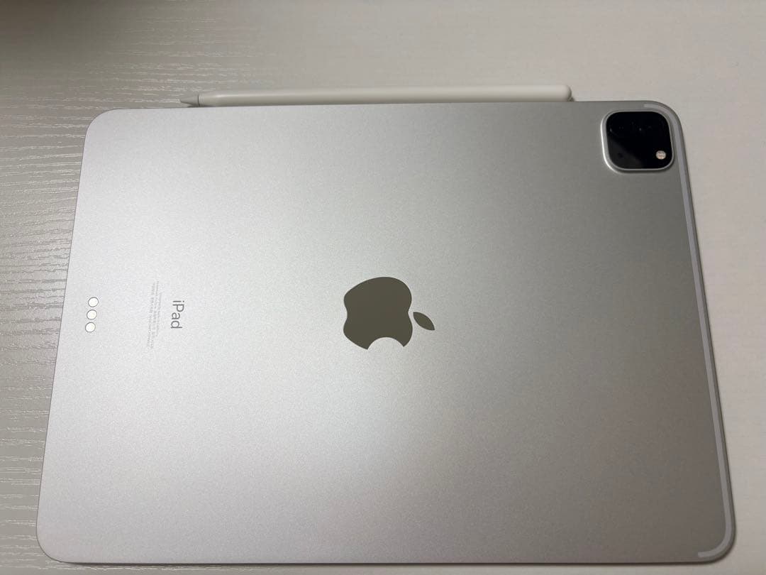 iPad Pro 11インチ 256GB【アップルペンシャル付き】