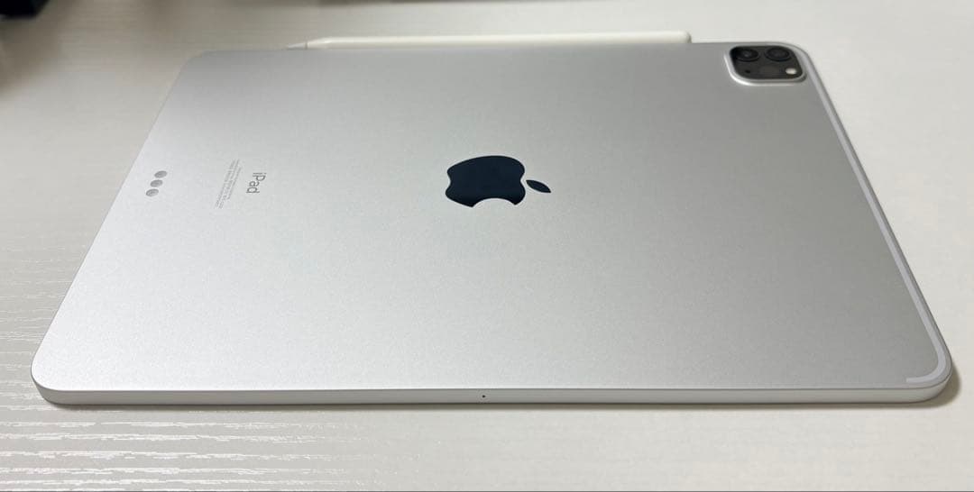 iPad Pro 11インチ 256GB【アップルペンシャル付き】