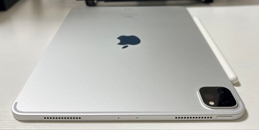 iPad Pro 11インチ 256GB【アップルペンシャル付き】