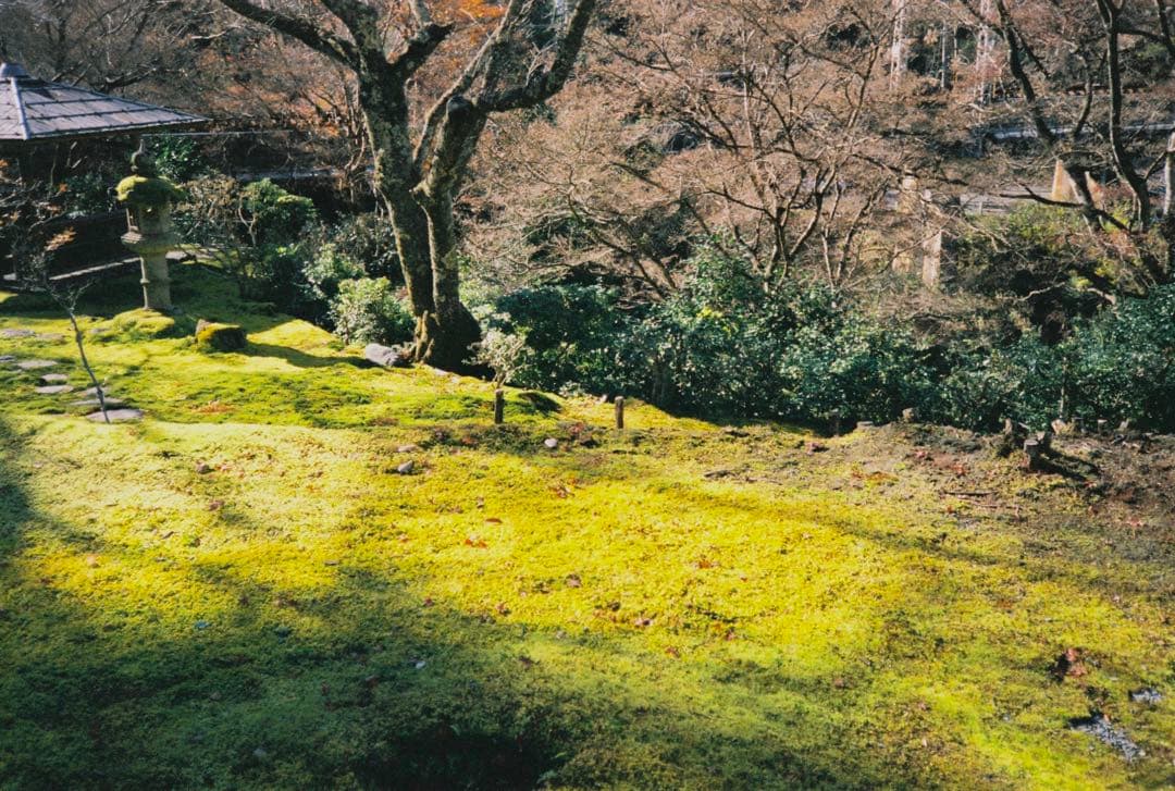 美品 動作確認済 Canon キヤノン Autoboy TELE6