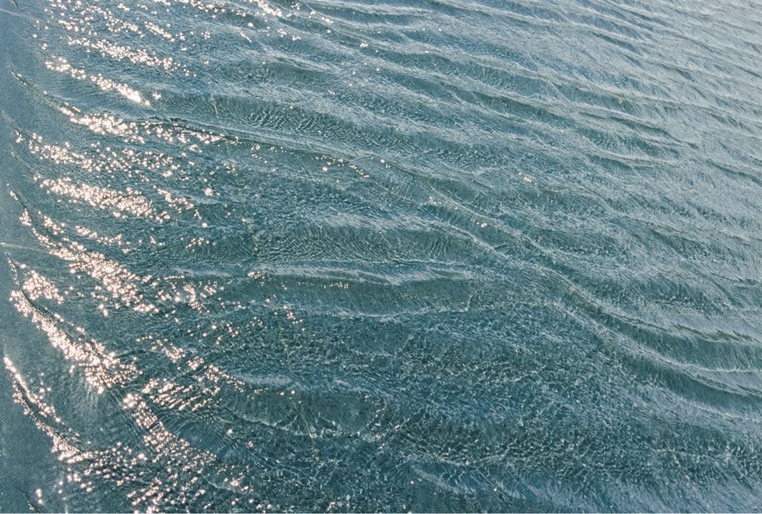 Canon EOS-1v フィルムカメラ