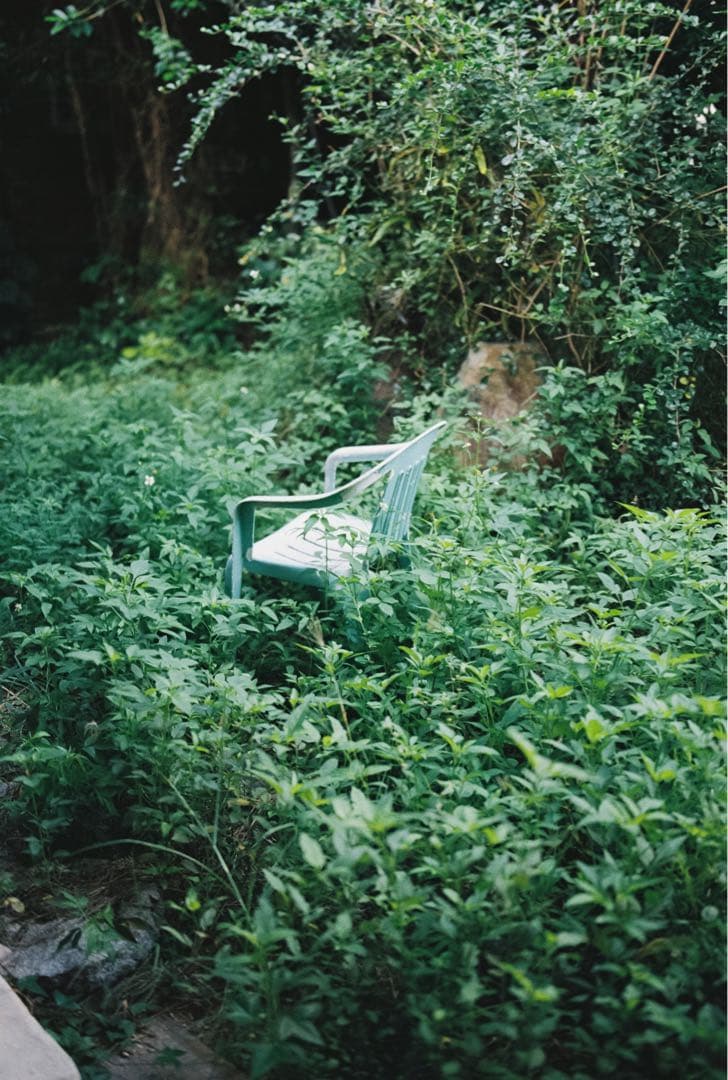 Canon EOS-1v フィルムカメラ