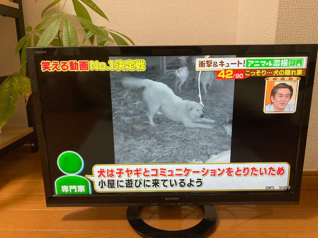 【美品】 AQUOS 24インチ　液晶テレビ (純正リモコン・ケーブル付き)