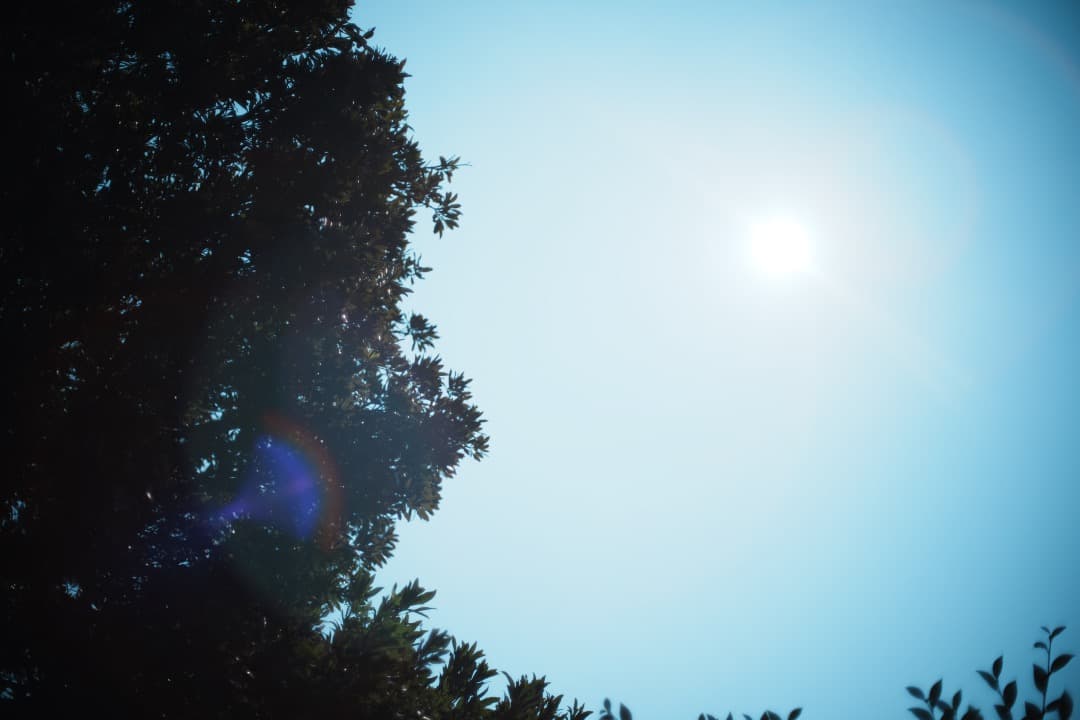 【和製貴婦人】動作◎ MC-ROKKOR PG 50mm F1.4 709