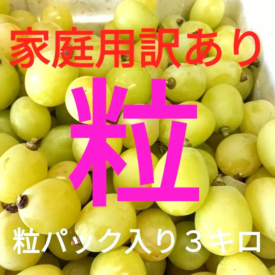 シヤインマスカット家庭用３キロ粒パック入り