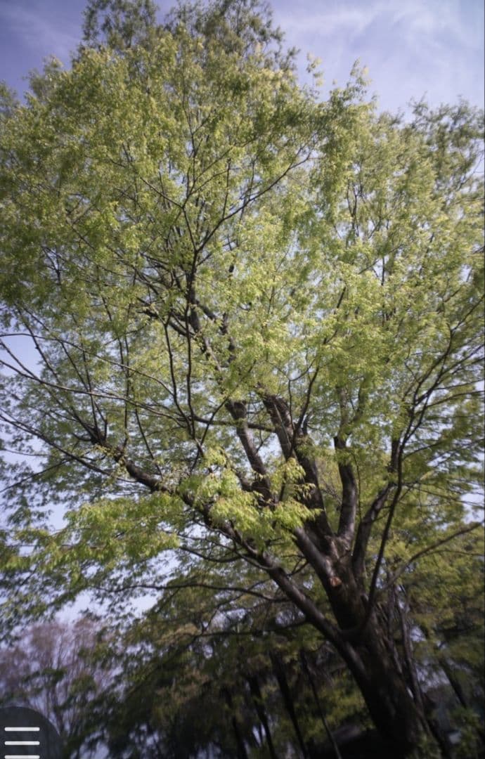 ☆最終値下げ☆ルサール　MP-2 20ｍｍ　f５.6 超希少レンズ