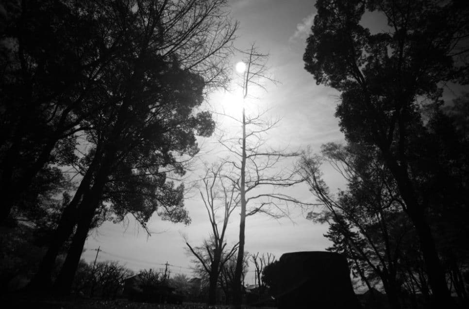 ☆最終値下げ☆ルサール　MP-2 20ｍｍ　f５.6 超希少レンズ