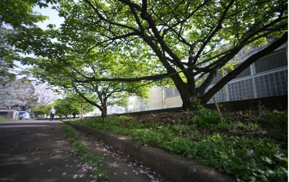 ☆最終値下げ☆ルサール　MP-2 20ｍｍ　f５.6 超希少レンズ