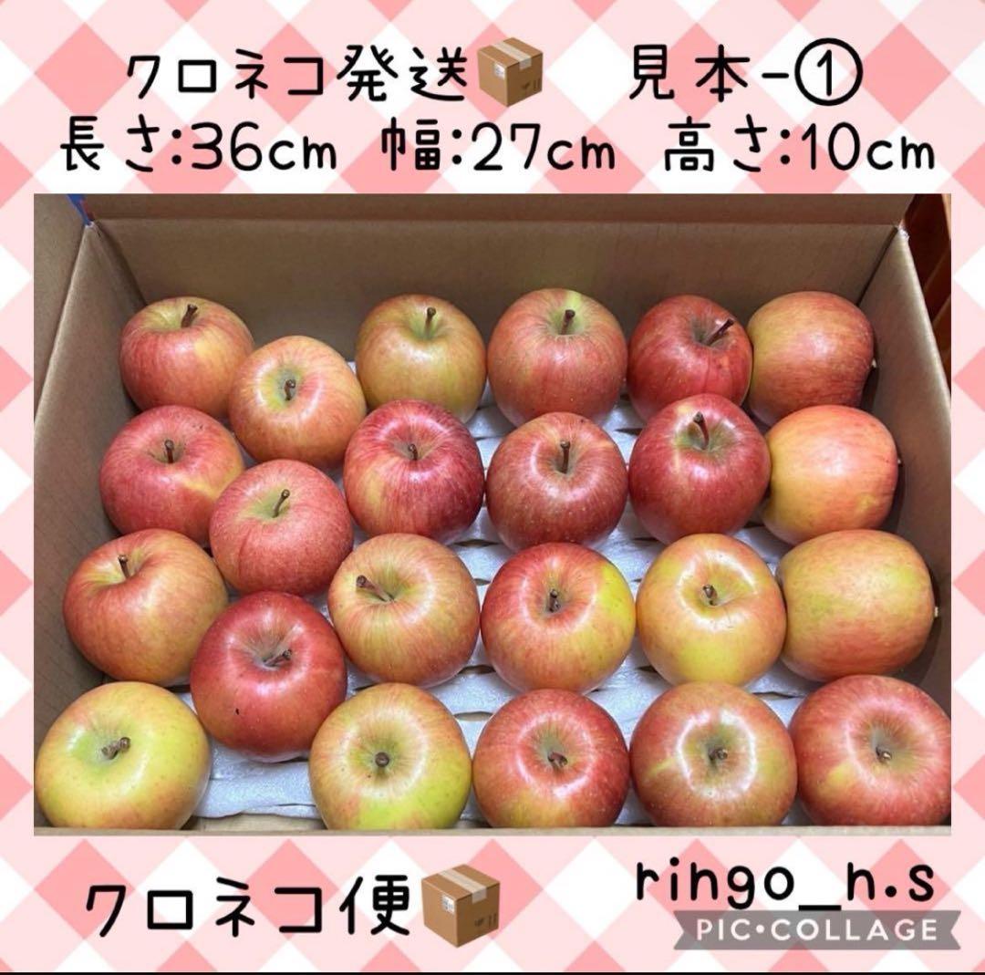 ■中箱■ 10㌔　幻の林檎　高徳　希少りんご　青森県産　クロネコ便