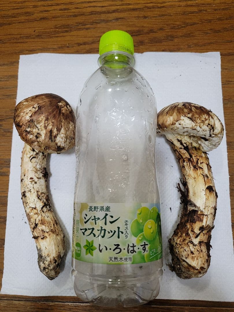 国産　岩手県産　松茸　450g