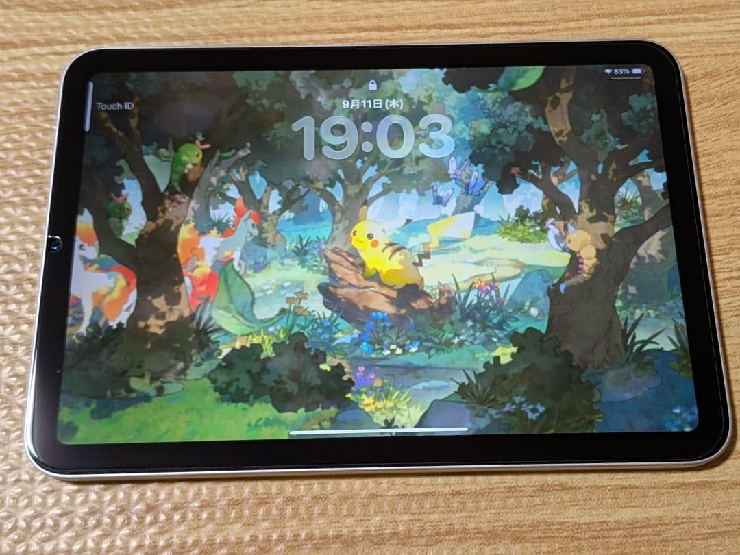 【美品】iPad mini 第6世代 256GB スターライト