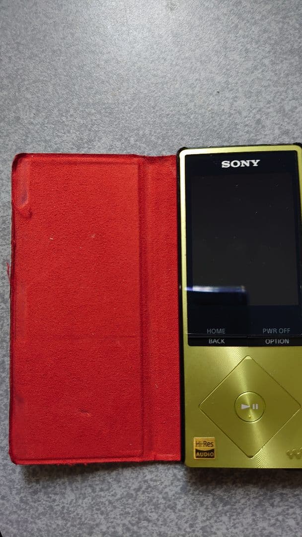 ウオークマン A20 a20 16GB NW-A25