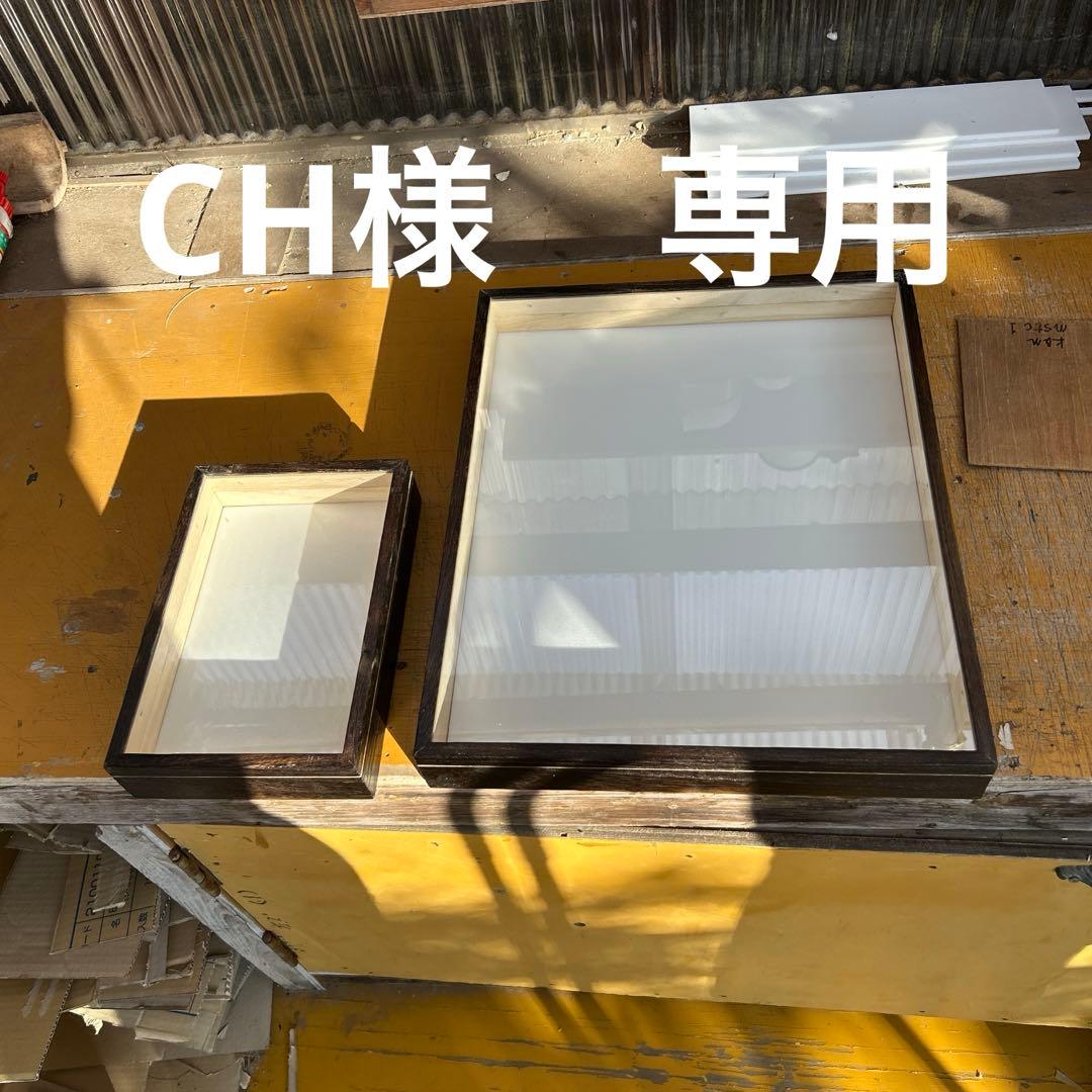 大型　中型標本箱