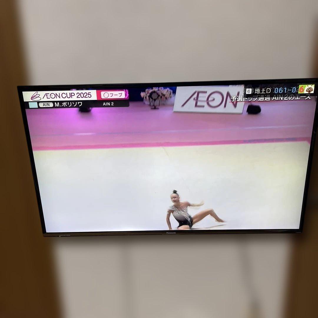 Panasonic 液晶テレビ 本体 リモコン付属 引き取り可能