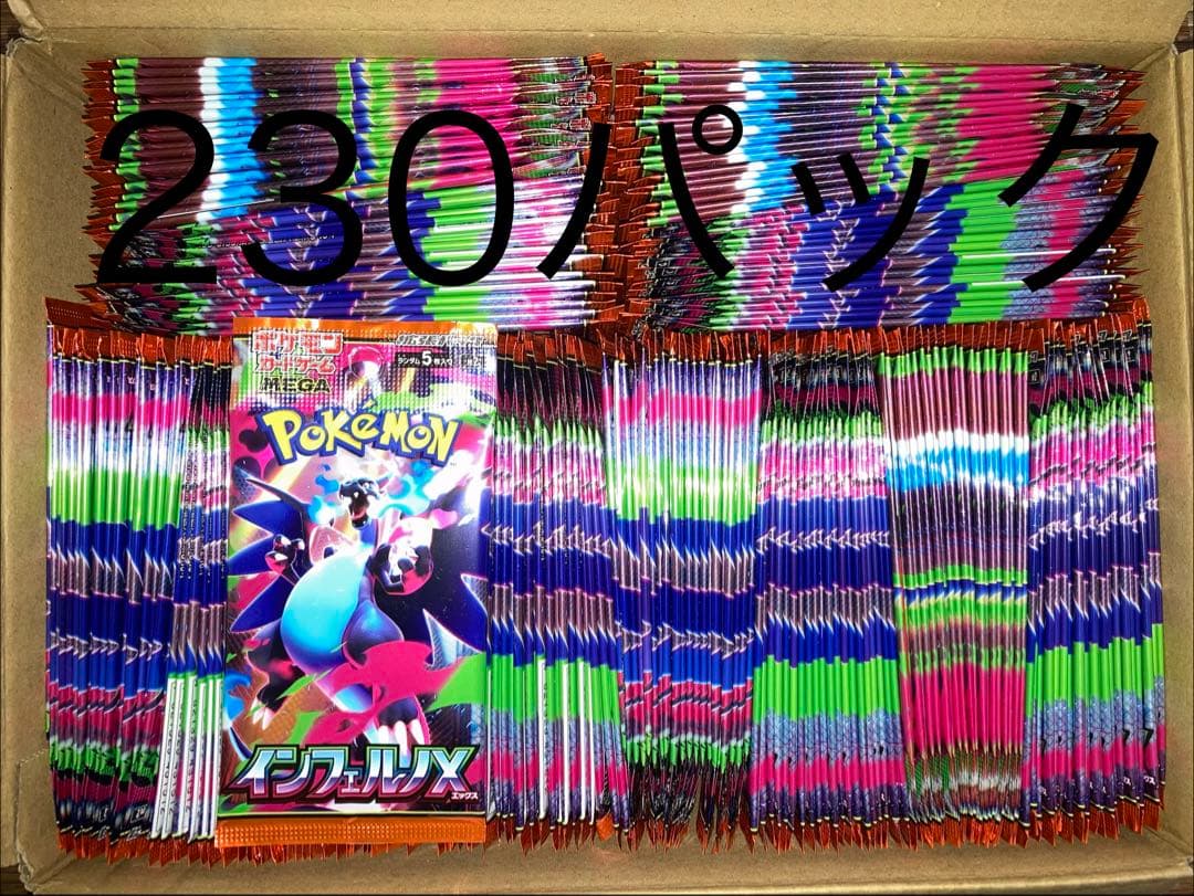 サーチ済　インフェルノX 230パック