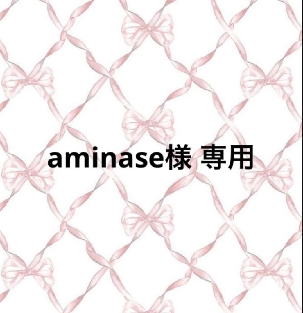 aminaseページ